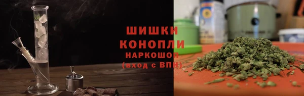 сатива Медногорск
