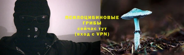 сатива Медногорск