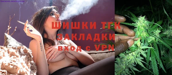 сатива Медногорск