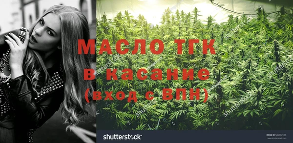 сатива Медногорск