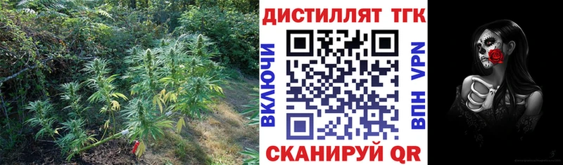 закладка  Звенигово  Дистиллят ТГК вейп с тгк 