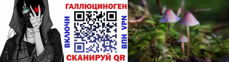 Псилоцибиновые грибы Psilocybe Звенигово